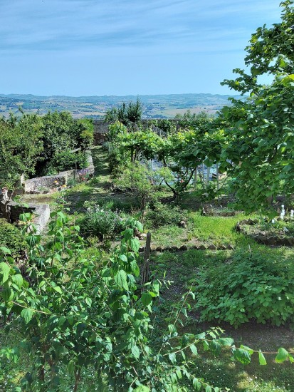 Scorcio del giardino del Monastero delle Clarisse di Osimo